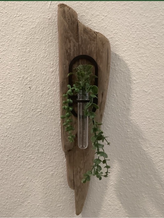 Other - Driftwood Art , Driftwood Hanging Plant Plaque, Driftwood Coastal Art